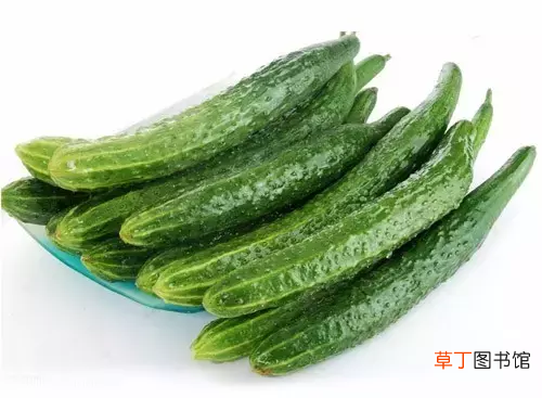 顶花带刺的黄瓜才新鲜吗 黄瓜为什么要叫黄瓜