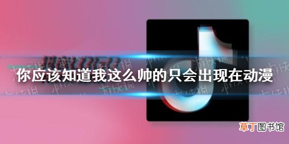 你应该知道我这么帅的只会出现在动漫是什么歌？《个人简介》超好听der