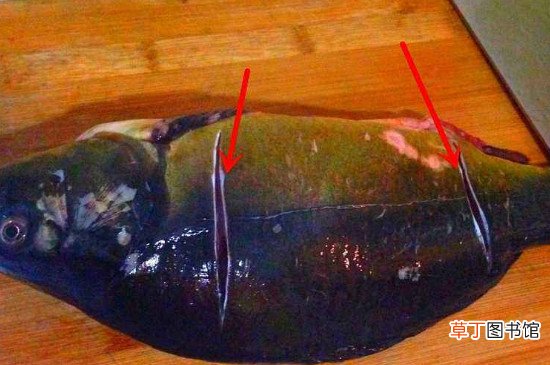 吃鲤鱼为什么要抽筋