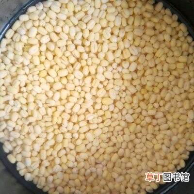 自制绿豆糕怎么做好吃 绿豆糕的制作方法步骤
