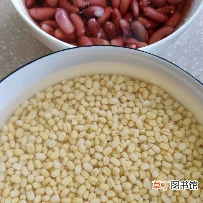 自制绿豆糕怎么做好吃 绿豆糕的制作方法步骤