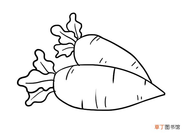 萝卜简笔画 零基础学萝卜简笔画