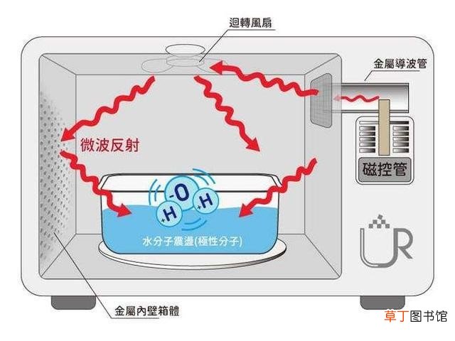 糖醋蒜的正确腌制方法 糖醋蒜怎么腌制好吃