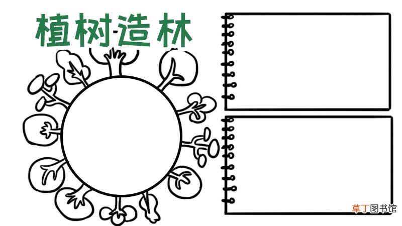 植树手抄报内容