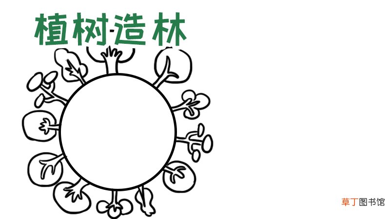 植树手抄报内容