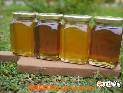 龙眼蜜的功效与作用