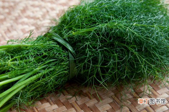 茴香菜的功效与作用及食用方法