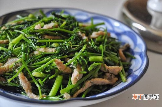 茴香菜的功效与作用及食用方法
