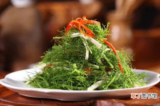 茴香菜的功效与作用及食用方法