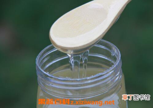 槐花蜜的功效与作用及食用禁忌