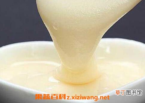 椴树蜜的功效与作用及营养价值