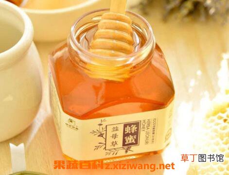 益母草蜜的功效与作用