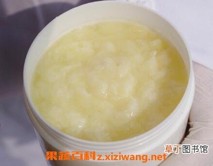油菜浆的功效与作用