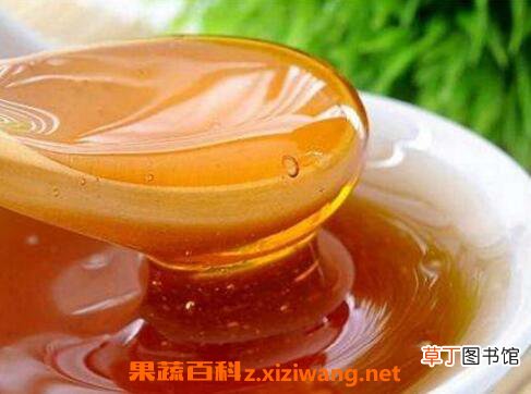 枣花蜜的功效与作用