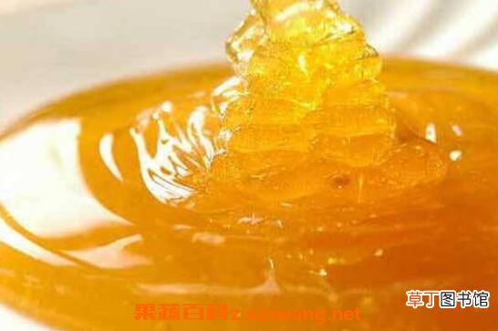 紫云英蜜的功效与作用