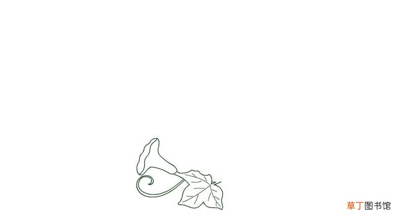 藤蔓简笔画