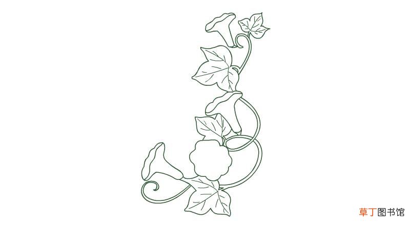 藤蔓简笔画