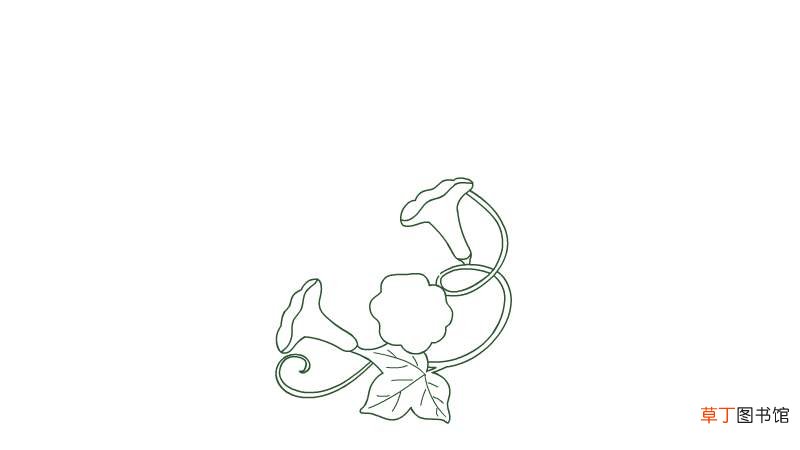 藤蔓简笔画