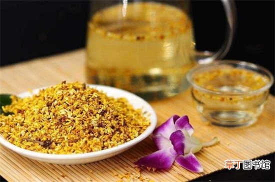 自制桂花茶可直接用阳光哂不吗