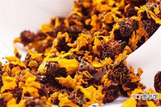 天山雪菊的功效与作用