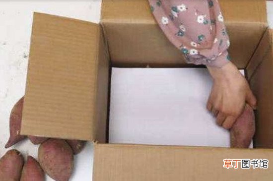 地瓜怎样保存才不会烂