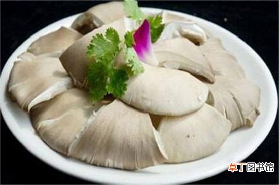 茄子和平菇能一起吃吗