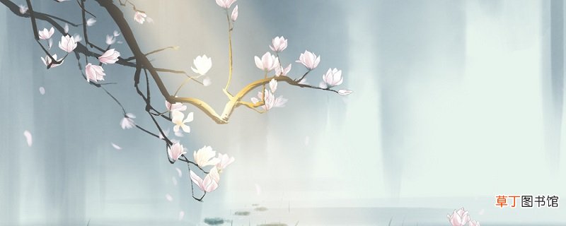 孤芳自赏是什么意思 孤芳自赏的正确解释