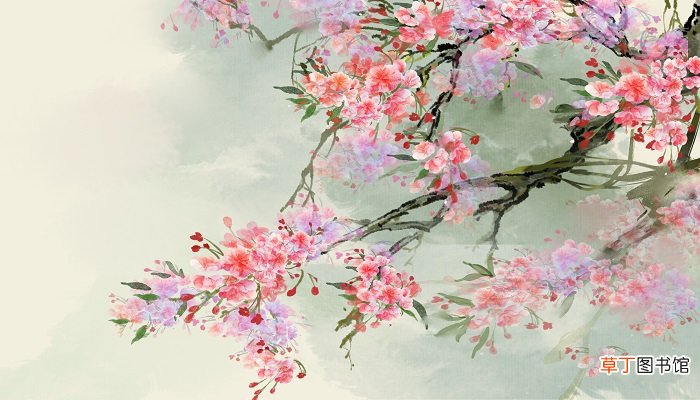 孤芳自赏是什么意思 孤芳自赏的正确解释