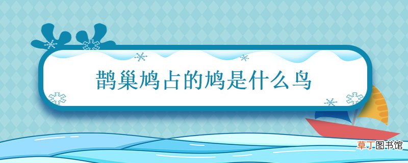 鹊巢鸠占的鸠是什么鸟 鸠占鹊巢指什么动物