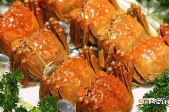 螃蟹和三文鱼能一起吃吗