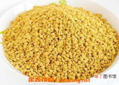 油菜花粉的功效与作用及禁忌