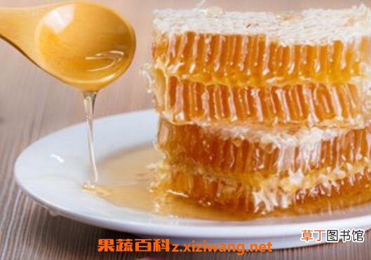 蜂巢蜜的作用与功效 蜂巢蜜能治鼻炎吗