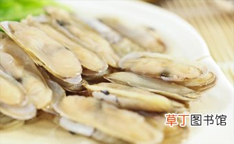 海鲜蛏子是寒性的食物吗 蛏子是不是发物