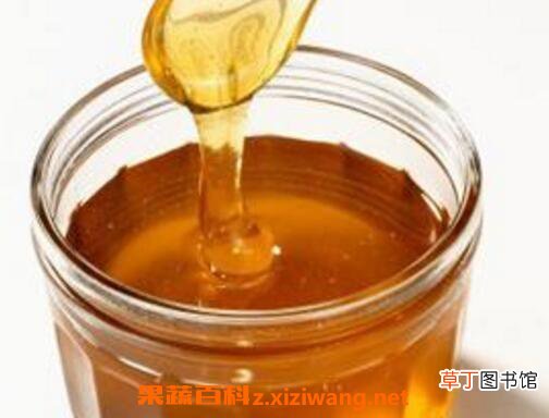 荔枝蜜的功效与作用