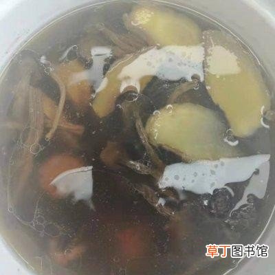 海参滋补汤的做法窍门 海参如何炖汤好吃暖胃