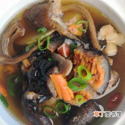 海参滋补汤的做法窍门 海参如何炖汤好吃暖胃