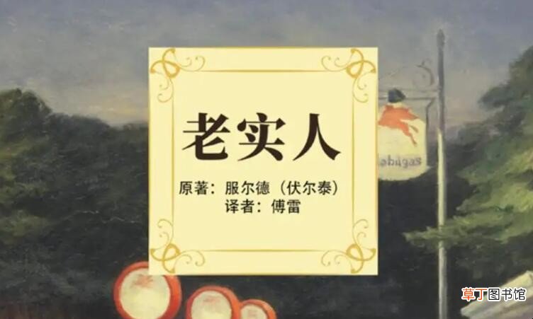 《老实人》读后感怎么写