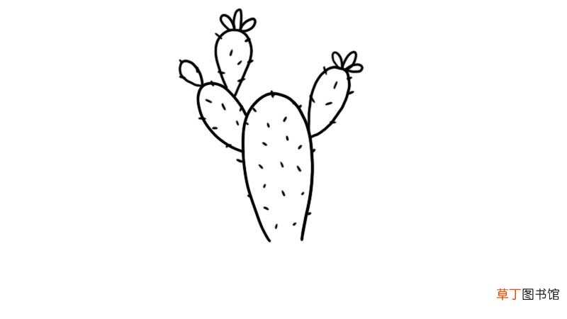 仙人掌盆栽简笔画