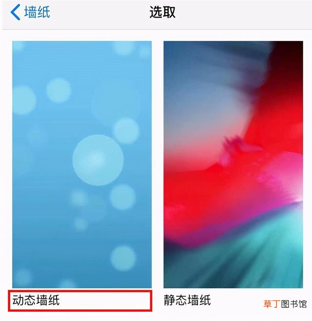 苹果手机设置动态壁纸 苹果11动态壁纸怎么设置