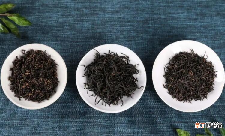 祁门红茶有哪些品种