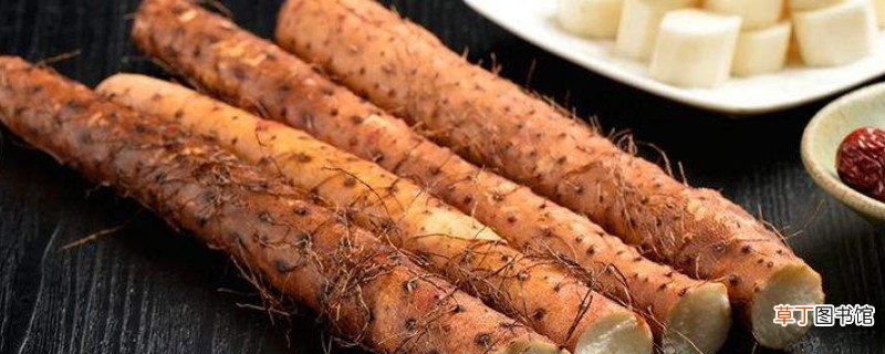 什么人不能吃铁棍山药