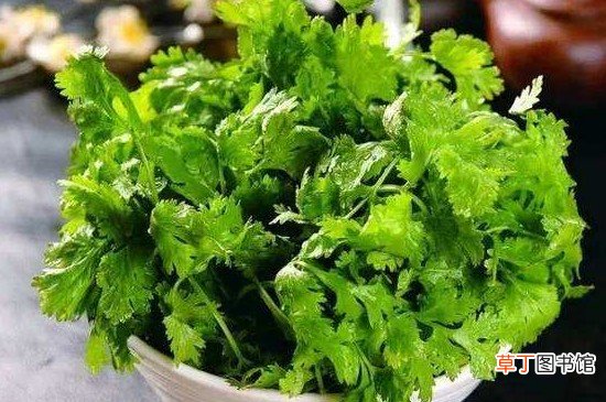 冰箱怎么保存香菜