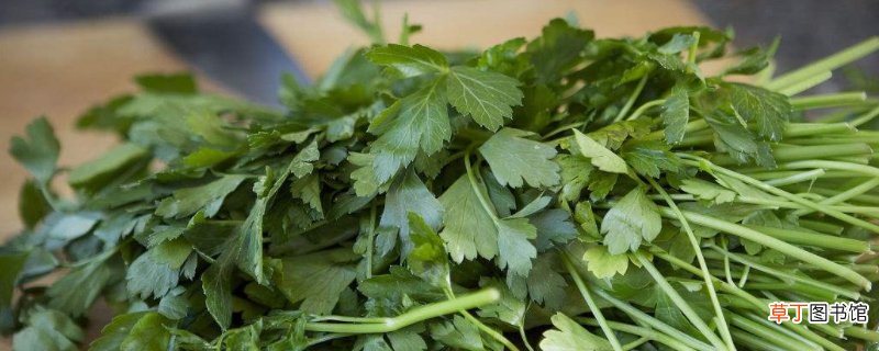 冰箱怎么保存香菜