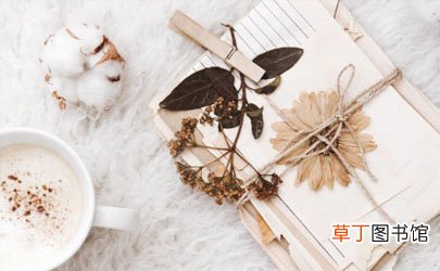 把花夹在书里可以做成干花吗