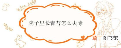 院子里长青苔怎么去除-办法须知