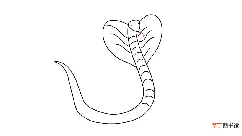 眼镜蛇简笔画