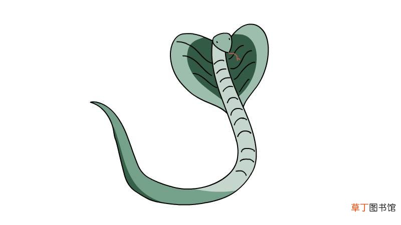 眼镜蛇简笔画