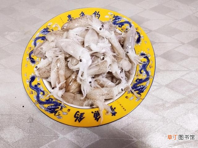春天常见的22种小海鲜 海鲜介绍大全带图片