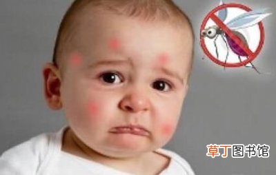 宝宝被蚊子咬了怎么消肿止痒最快 萌娃耳朵被蚊子叮成大耳朵图图