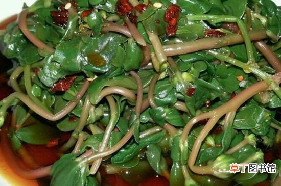 十种极寒食物